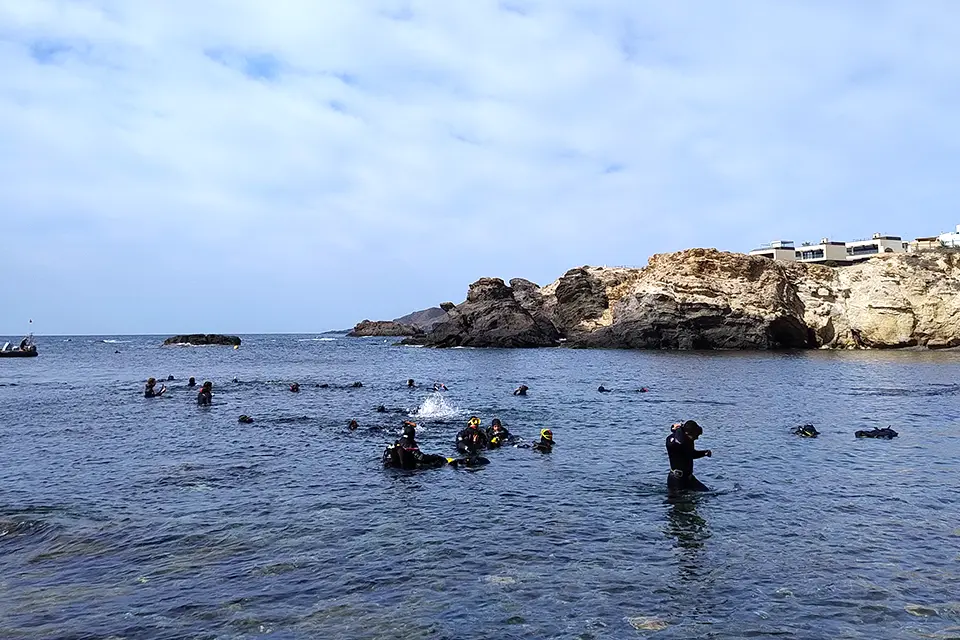 Murcia and Alicante A group of people wearing wet suits in shallow water practicing scuba diving. A rocky cliff shoreline is in the background.