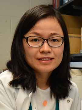 Ying Li Headshot of Ying Li