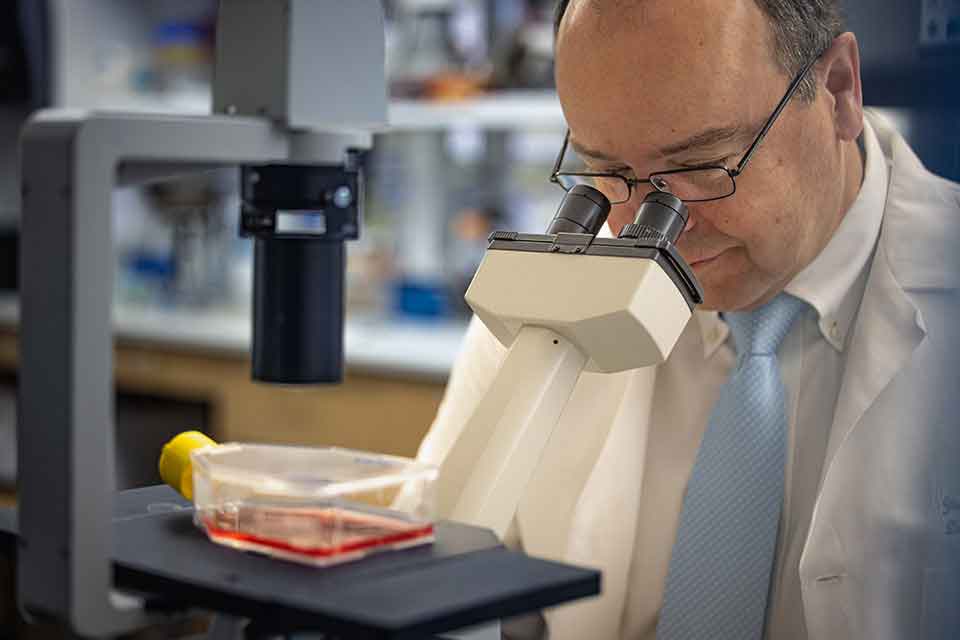 A researcher looks into a microscope while standing in his lab.