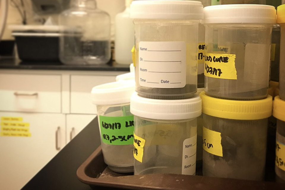 Test cups in a laboratory Test cups