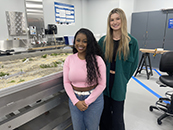 Microplastic Orientation